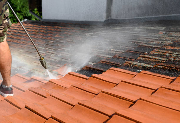 Best Affordable Pressure Washing  in Fayetteville, TN